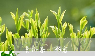 普洱茶 形容/2023042899673